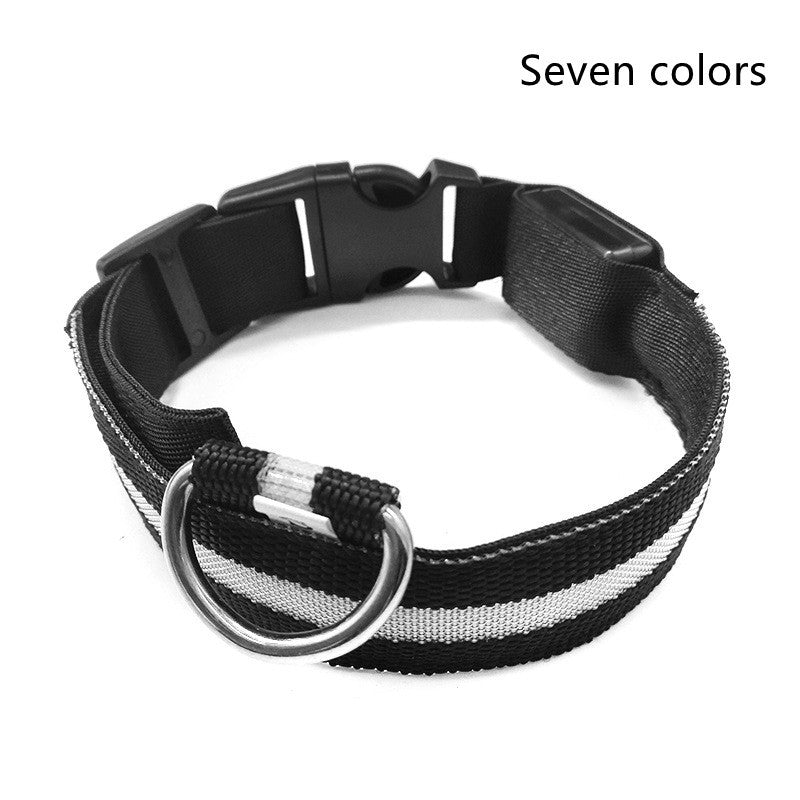 Plus LED collar for dog, battery or USB rechargeable