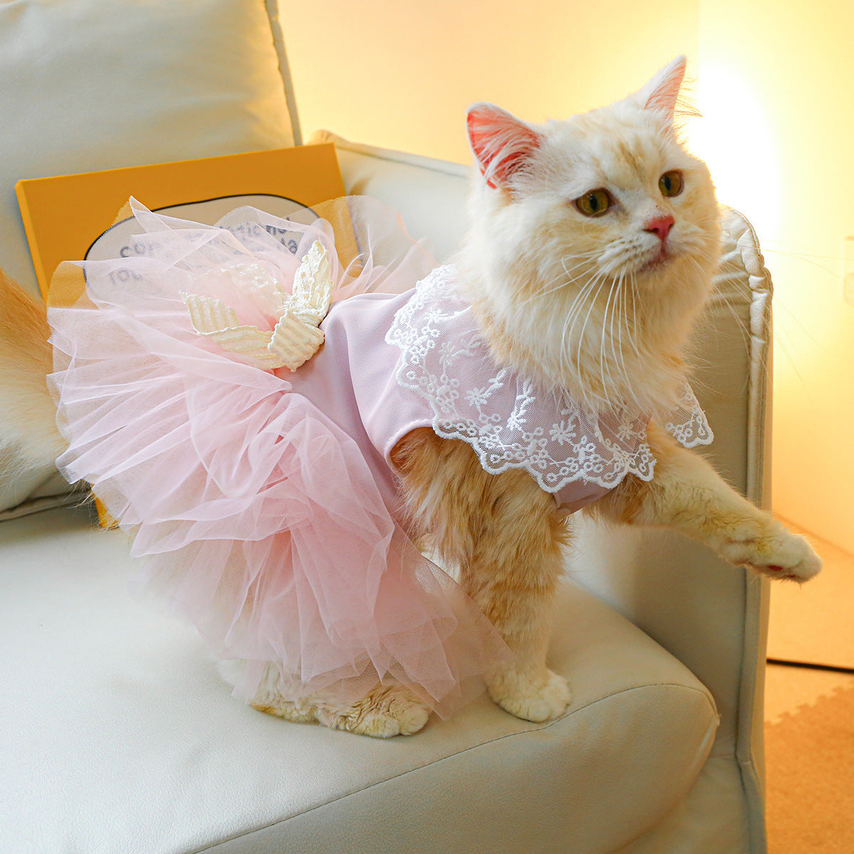 Beautiful Lace Dress for Cats