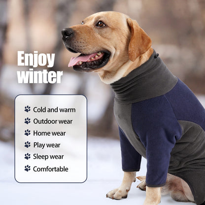 Cold-proof winter clothes for dogs