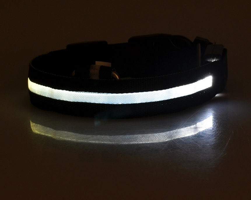 Plus LED collar for dog, battery or USB rechargeable