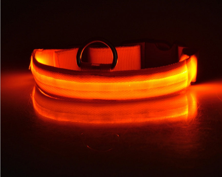 Plus LED collar for dog, battery or USB rechargeable