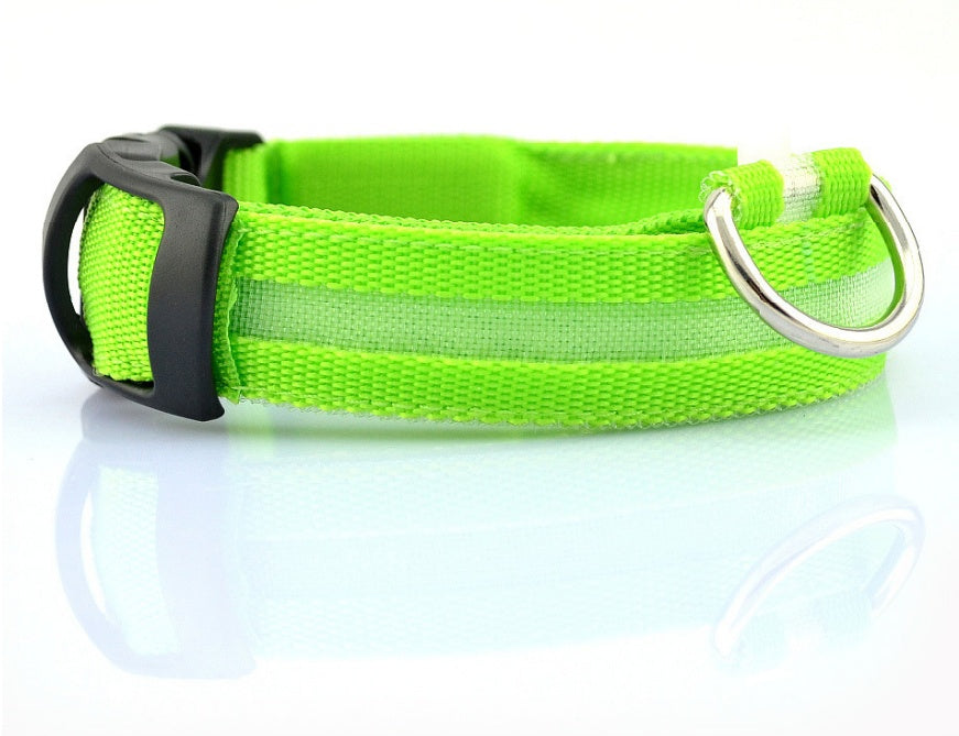 Plus LED collar for dog, battery or USB rechargeable