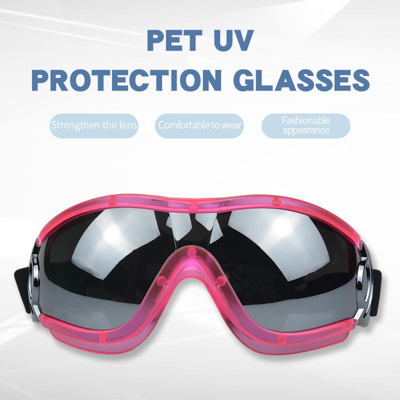 Protective Glasses for Dogs