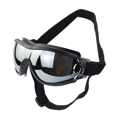 Protective Glasses for Dogs