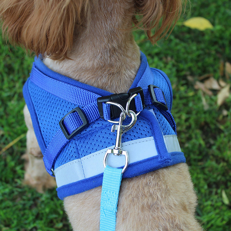 Pet chest strap