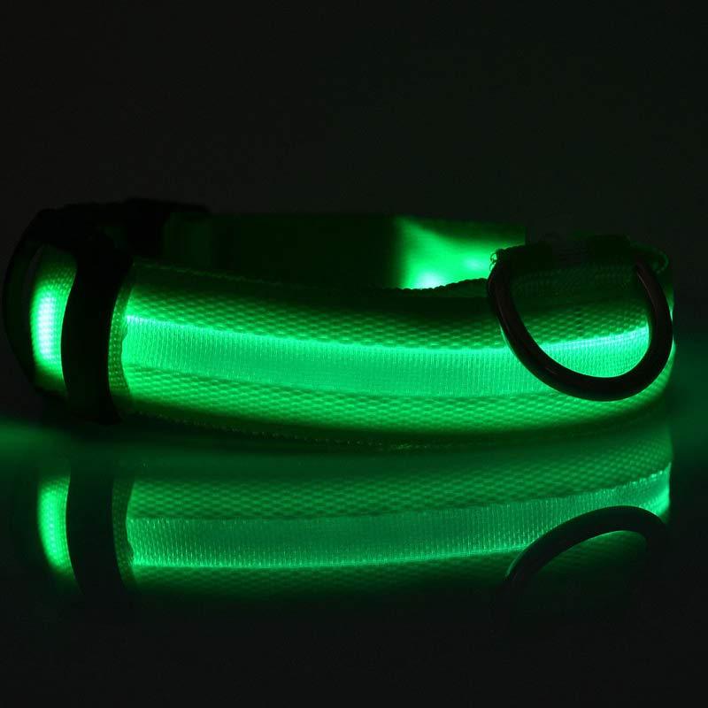 Plus LED collar for dog, battery or USB rechargeable