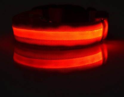 Plus LED collar for dog, battery or USB rechargeable