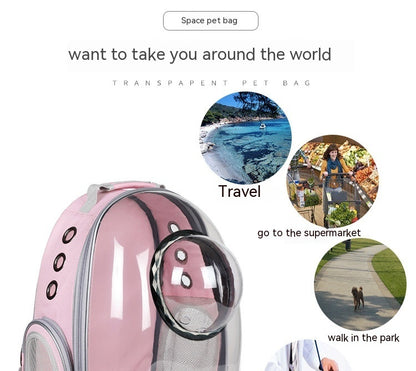 Panoramic Space Capsule Cat Transparent Backpack