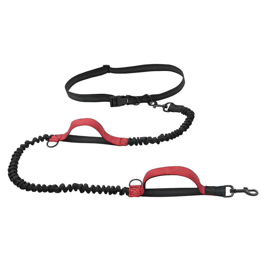 Pet Outing Hand Holding Rope Portable Running