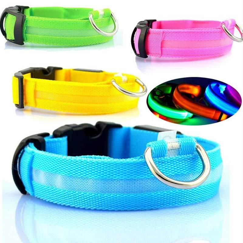 Plus LED collar for dog, battery or USB rechargeable