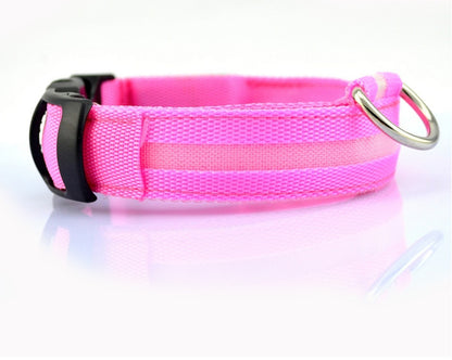 Plus LED collar for dog, battery or USB rechargeable