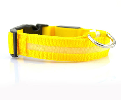 Plus LED collar for dog, battery or USB rechargeable