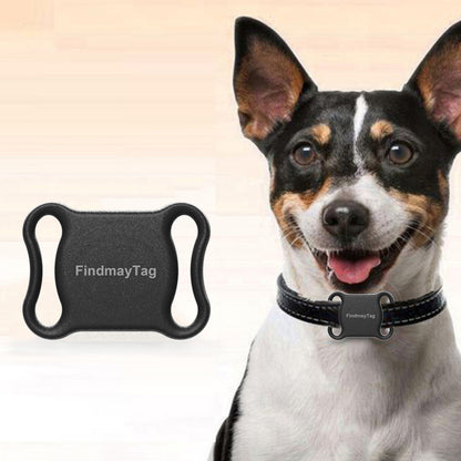 Smart GPS locator for dogs and cats