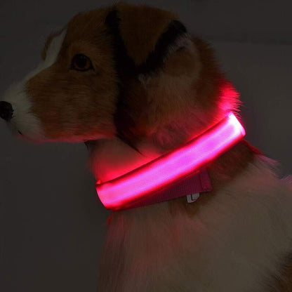 Plus LED collar for dog, battery or USB rechargeable