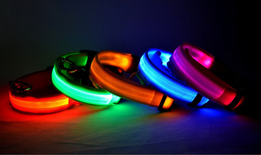 Plus LED collar for dog, battery or USB rechargeable