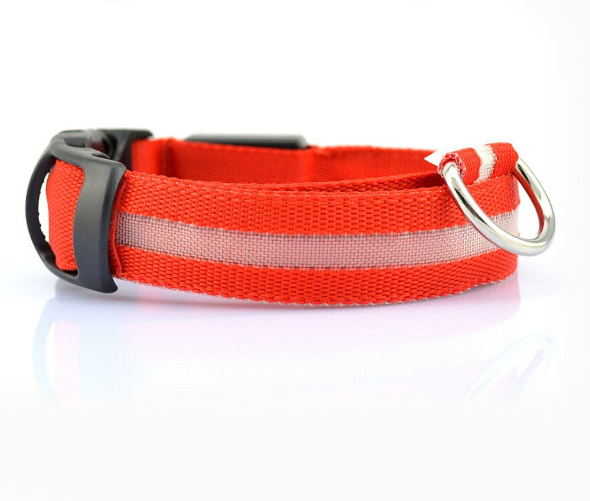 Plus LED collar for dog, battery or USB rechargeable