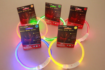 USB Rechargeable Neon Glowing Dog Collar