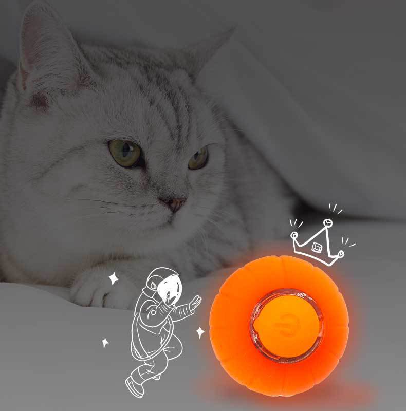 Interactive Pet Ball