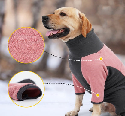 Cold-proof winter clothes for dogs