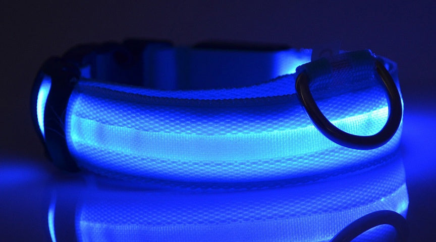 Plus LED collar for dog, battery or USB rechargeable