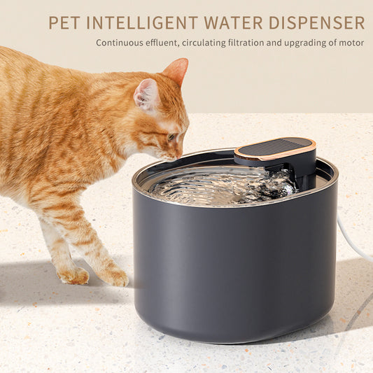 Luxury Automatic USB Drinking Fountain with Bowl for Cats and Dogs