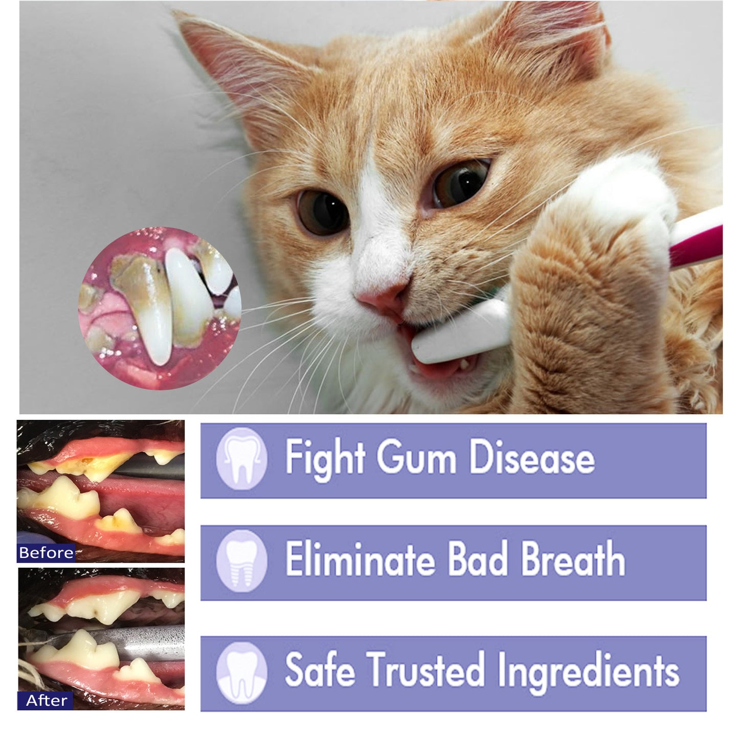 Oral cleaning cream for cats and dogs, removes odors and stains