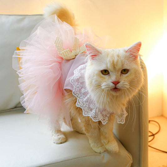 Beautiful Lace Dress for Cats