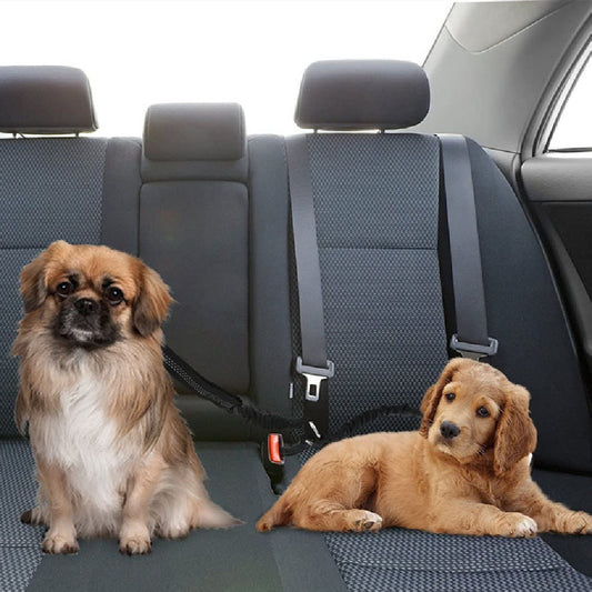 Double-Ended Car Safety Belt: One for Two Pets