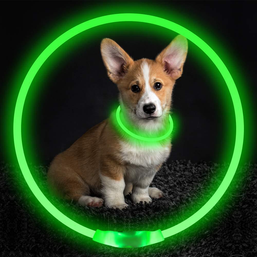 USB Rechargeable Neon Glowing Dog Collar