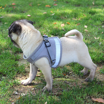 Pet chest strap