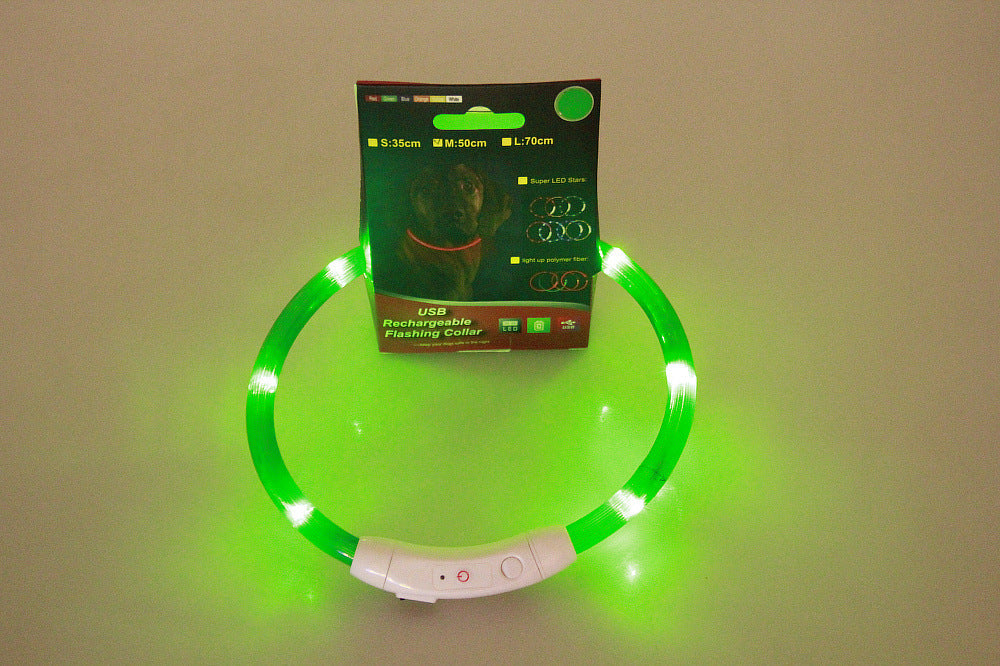 USB Rechargeable Neon Glowing Dog Collar