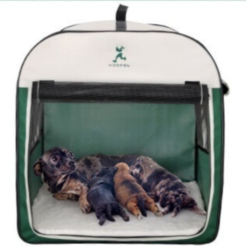 Portable kennel for indoor and outdoor areas