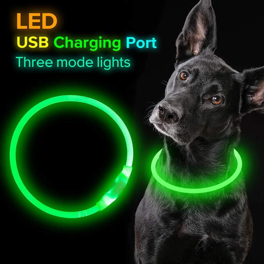 USB Rechargeable Neon Glowing Dog Collar