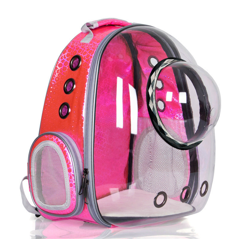 Panoramic Space Capsule Cat Transparent Backpack