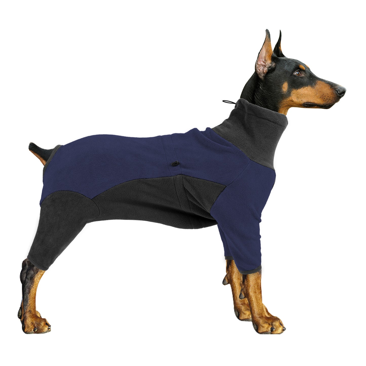 Cold-proof winter clothes for dogs