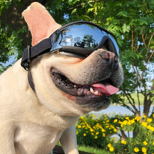 luxury dog goggles