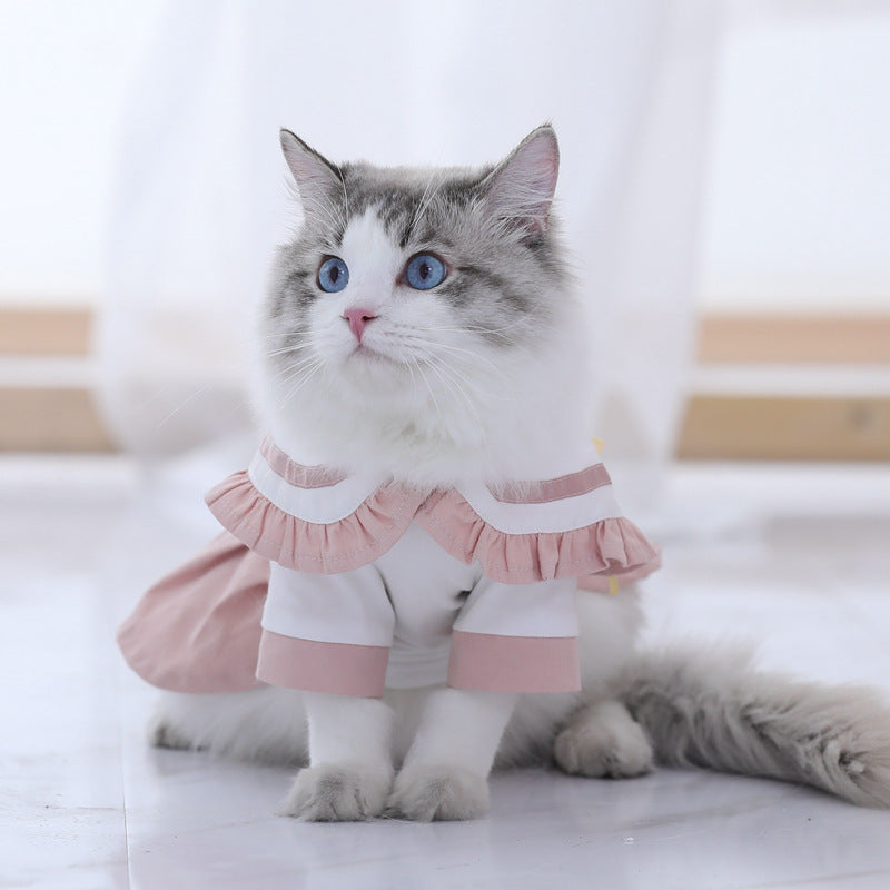 Cute and Thin Summer Clothes for Cats