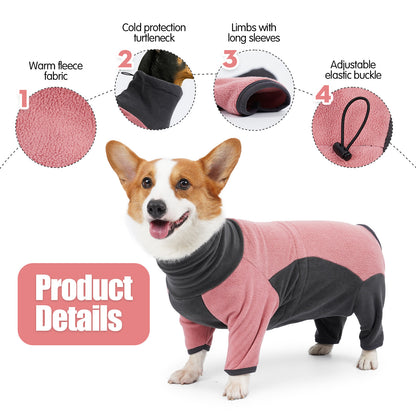 Cold-proof winter clothes for dogs