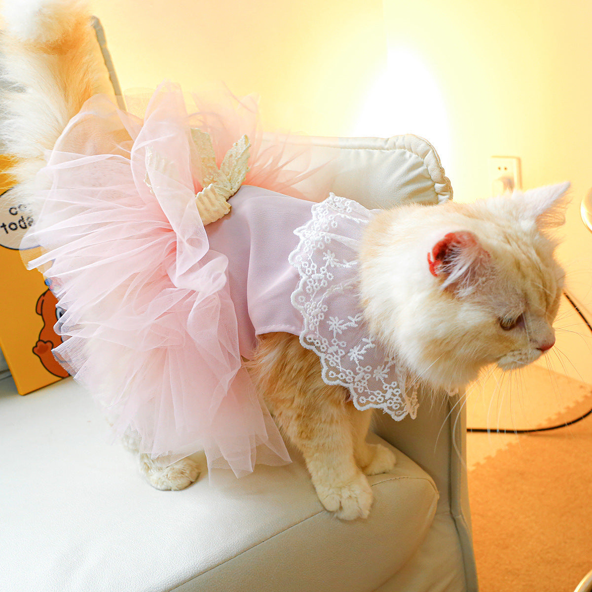 Beautiful Lace Dress for Cats