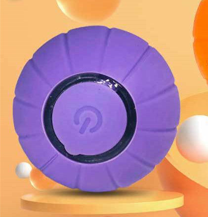 Interactive Pet Ball