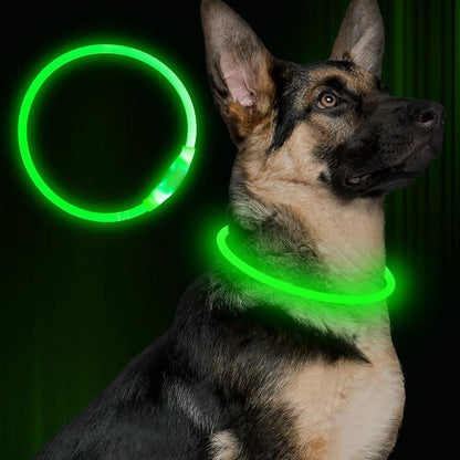 USB Rechargeable Neon Glowing Dog Collar