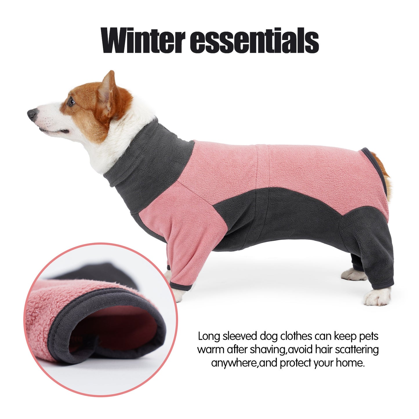 Cold-proof winter clothes for dogs