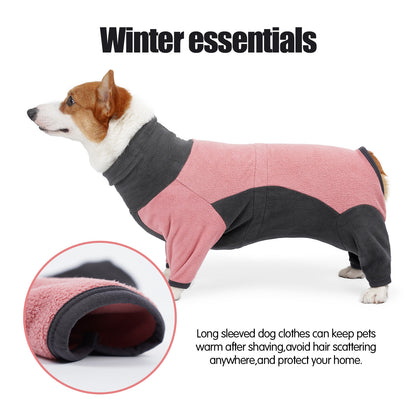 Cold-proof winter clothes for dogs