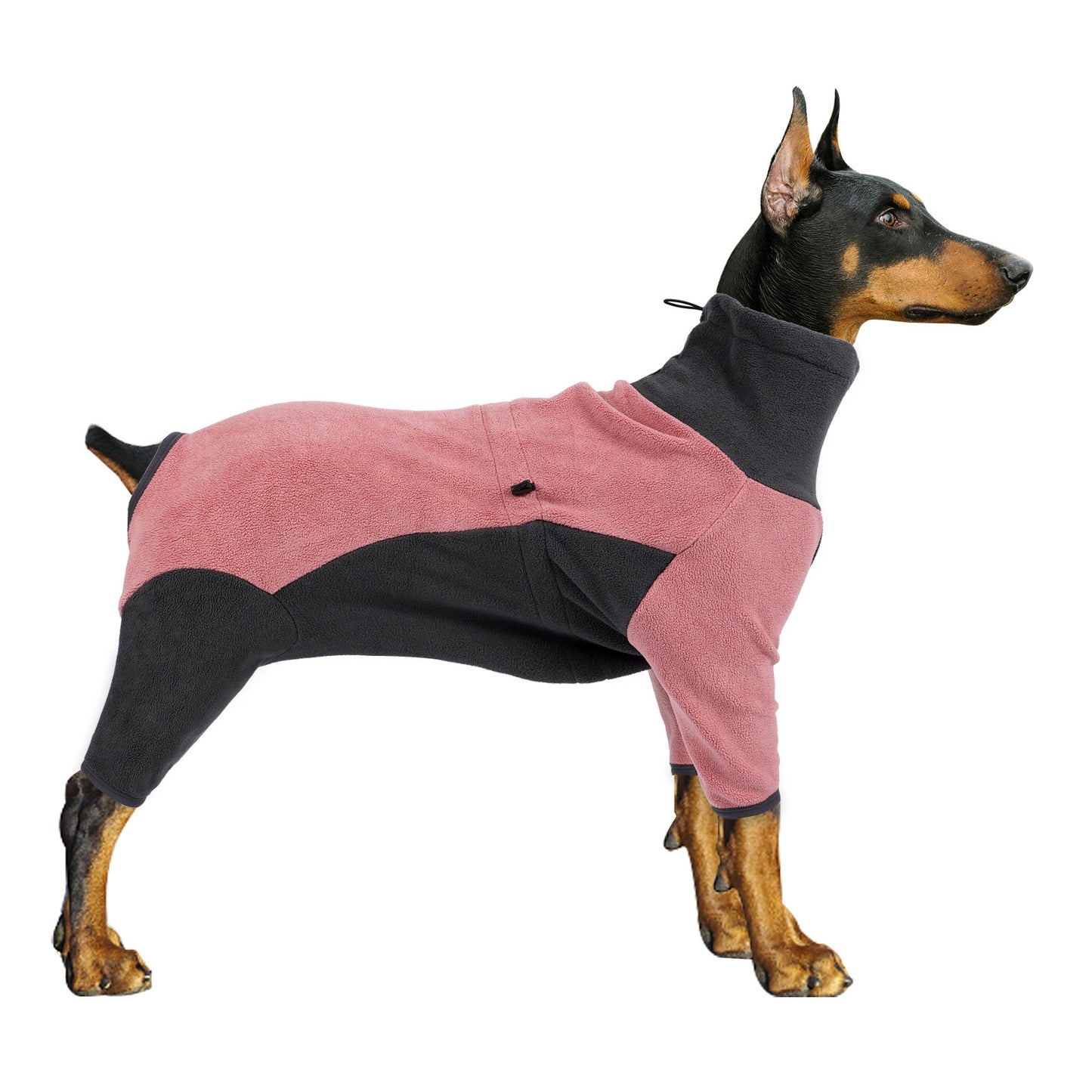 Cold-proof winter clothes for dogs