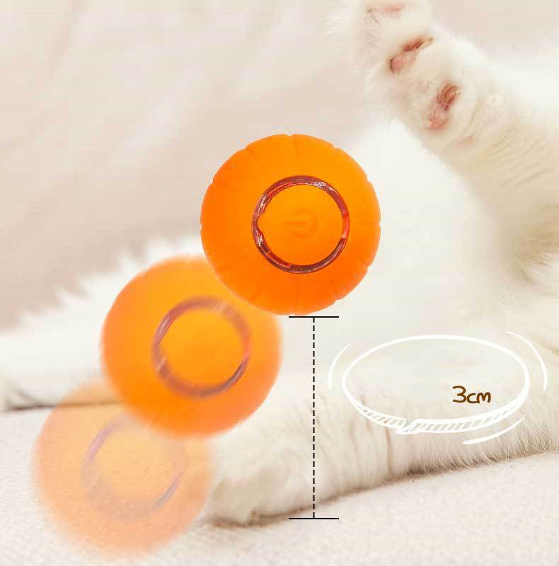 Interactive Pet Ball