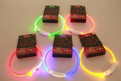 USB Rechargeable Neon Glowing Dog Collar