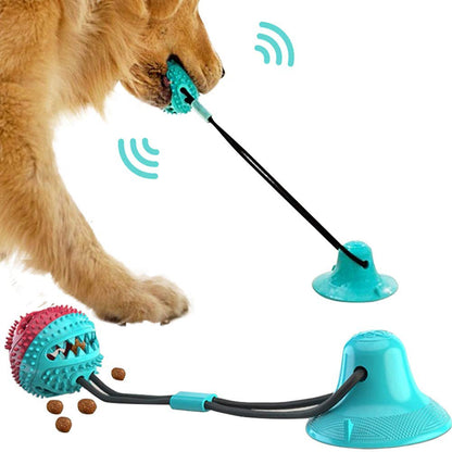 Pet Ball Educational and Interactive Toy