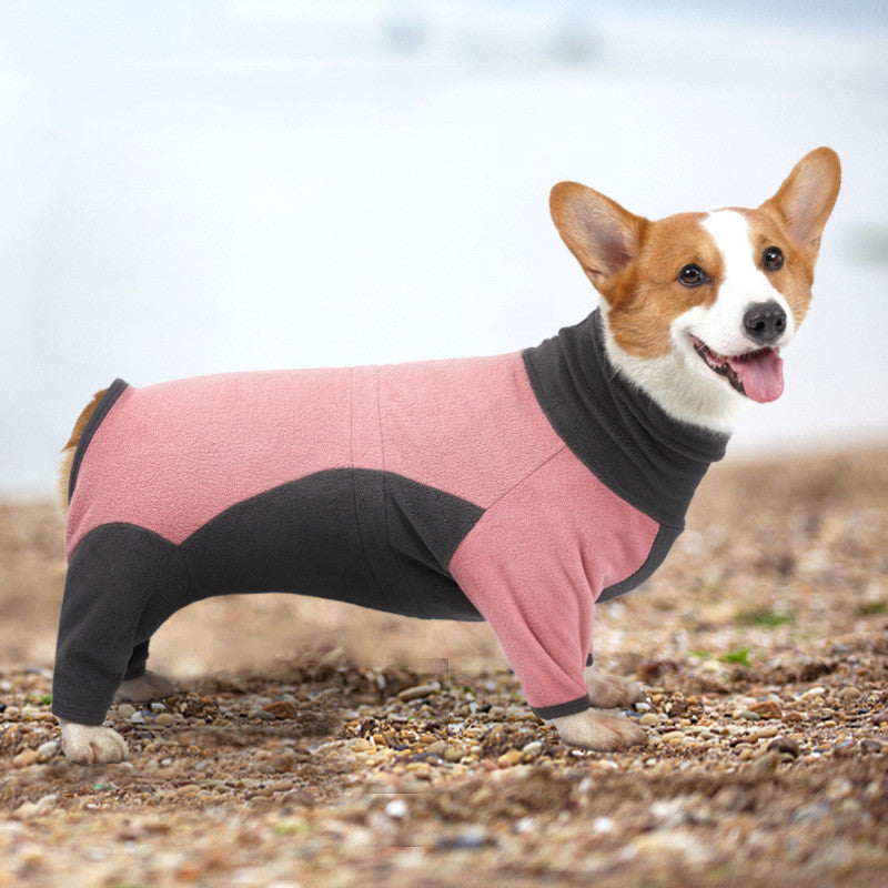 Cold-proof winter clothes for dogs