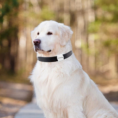 Smart GPS locator for dogs and cats