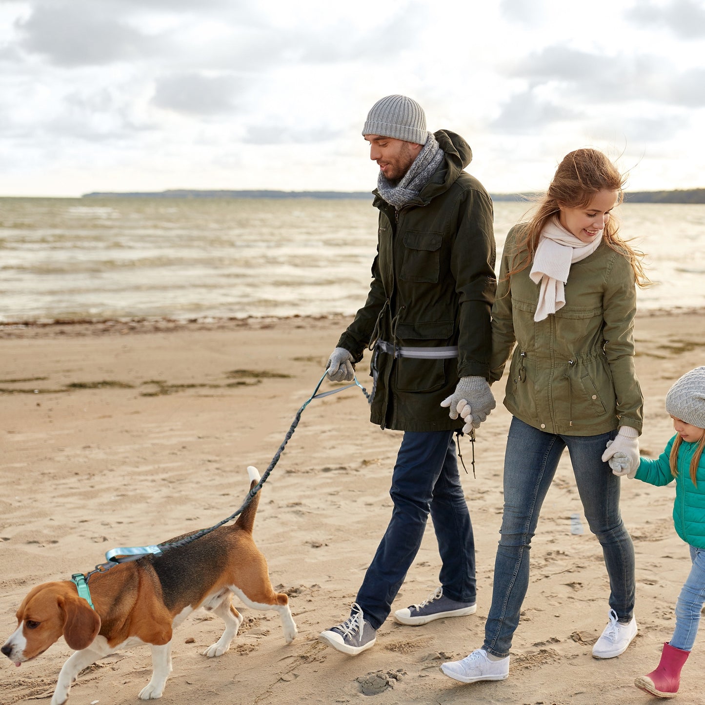 Pet Outing Hand Holding Rope Portable Running